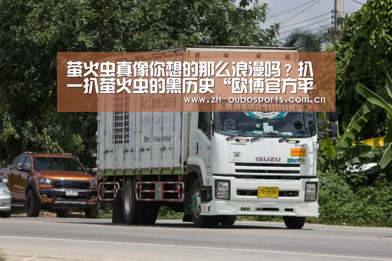 萤火虫真像你想的那么浪漫吗?扒一扒萤火虫的黑历史“欧博官方平台”(图1) 欧博新春活动