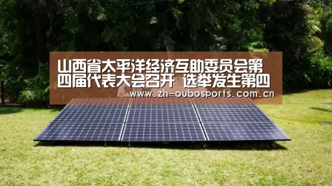 欧博新春活动
