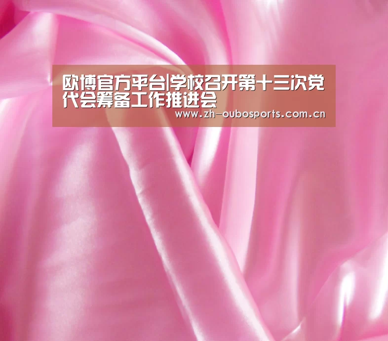欧博官方平台|学校召开第十三次党代会筹备工作推进会(图2) 欧博登入