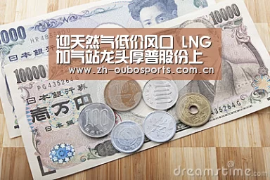 迎天然气低价风口 LNG加气站龙头厚普股份上市|欧博官网(图1) 欧博登入