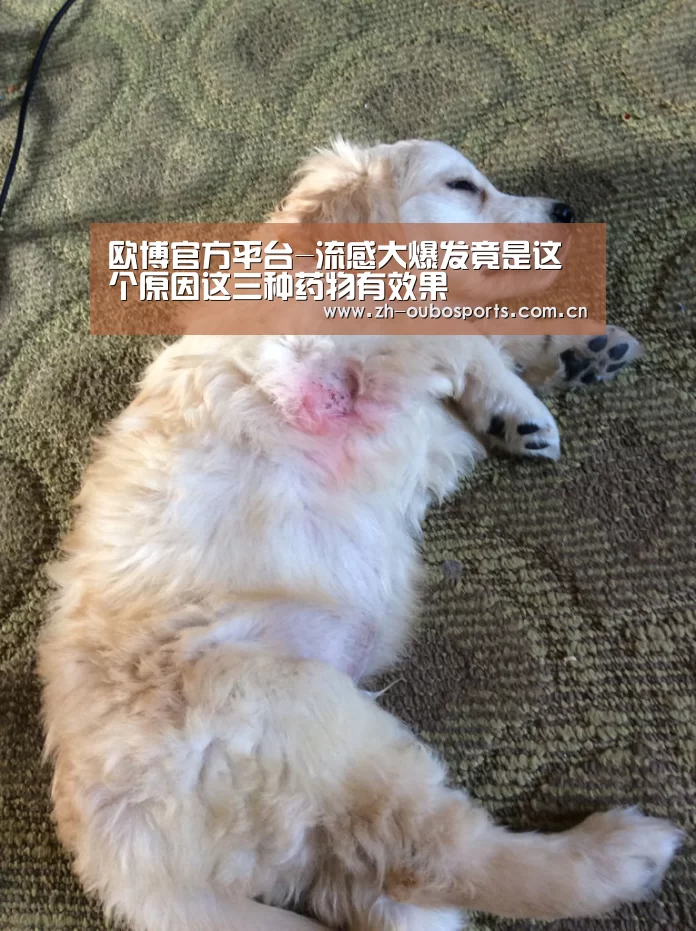 欧博官方平台-流感大爆发竟是这个原因这三种药物有效果(图2) 欧博官网