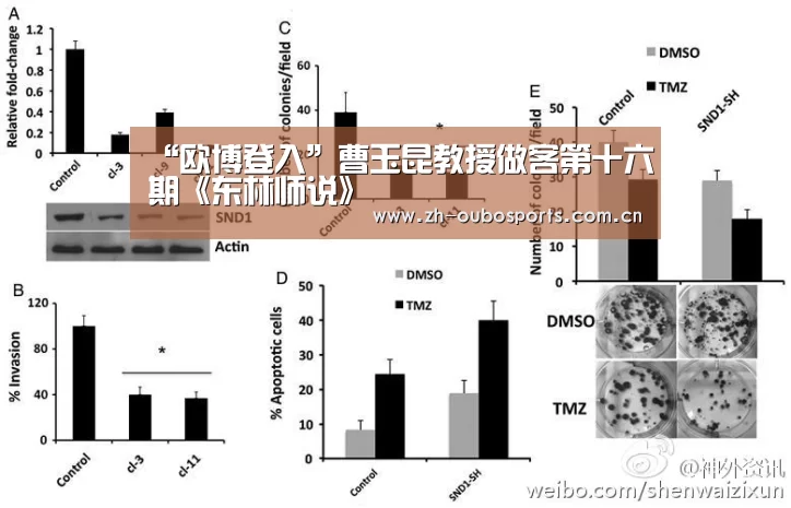欧博新春活动