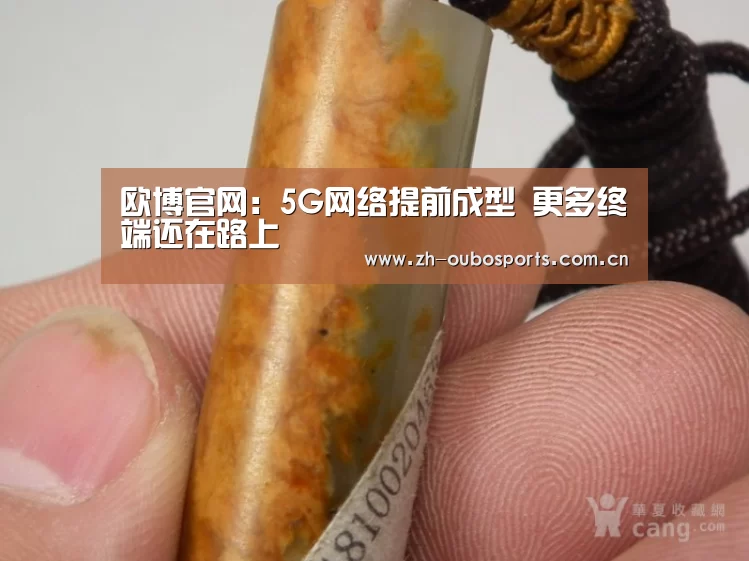 欧博官网:5G网络提前成型 更多终端还在路上(图3) 欧博登入